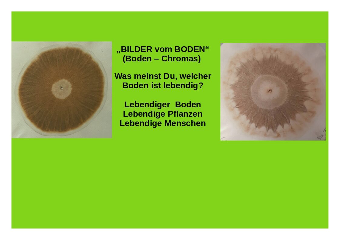 Gesunder Boden – Gesunde Pflanzen – Gesunde Menschen